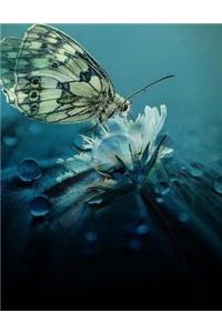 Butterfly Cocoon Caterpillar Insect Entomology Animal Flower Peace Beauty School