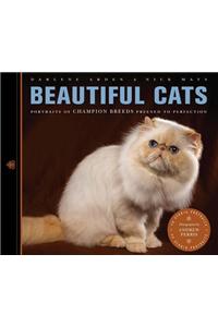 Beautiful Cats