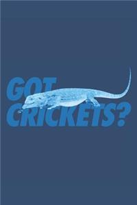 Bearded Dragon Lizard Iguana Journal