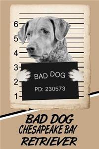 Bad Dog Chesapeake Bay Retriever