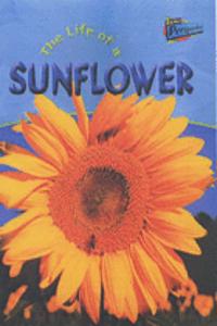 Raintree Perspectives: Life Cycles - the Life of a Dog / Grasshopper / Guinea Pig / Chicken / Sunflower