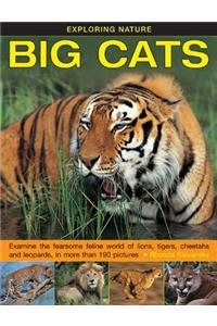 Exploring Nature: Big Cats