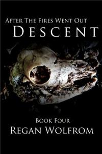 After the Fires Went Out: Descent