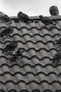 Pigeons on a Tile Roof Black and White Journal