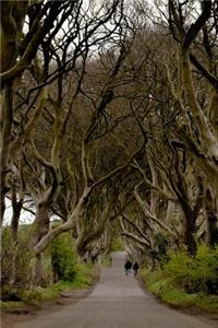 A View of the Dark Hedges Ireland Journal
