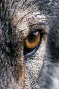 Eye of the Wolf Journal