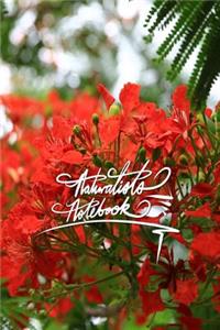 Naturalists Notebook