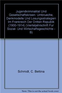 Jugendkriminalitat Und Gesellschaftskrisen