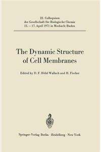 Dynamic Structure of Cell Membranes