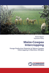 Maize-Cowpea Intercropping