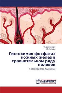 Gistokhimiya fosfataz kozhnykh zhelez v sravnitel'nom ryadu polevok