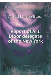 Report of A. J. Bloor delegate of the New York