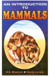 An Introduction To Mammals