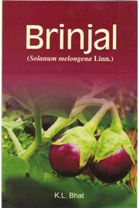 Brinjal: Solanum Melongena Linn