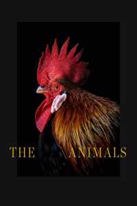 Estela de Castro: The Animals