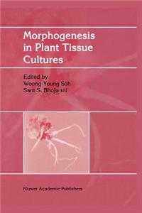 Morphogenesis in Plant Tissue Cultures