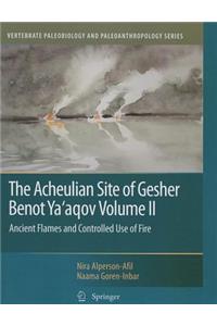 Acheulian Site of Gesher Benot Ya'aqov Volume II