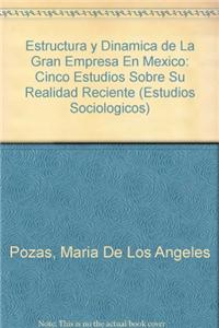 Estructura y Dinamica de La Gran Empresa En Mexico