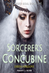Sorcerer's Concubine