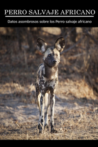 Datos asombrosos sobre los Perro Salvaje Africano