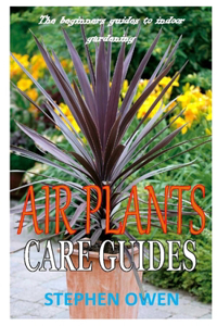 Air Plants Care Guides