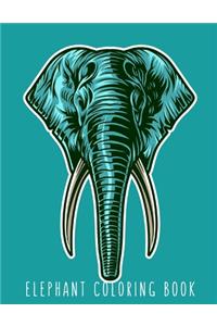 Elephant Coloring Book
