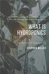 What Is Hydroponics