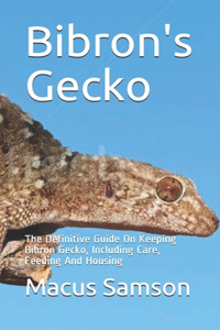 Bibron's Gecko