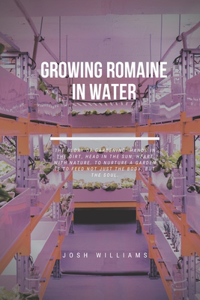 Growing Romaine In Water