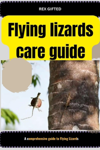 Flying lizards care guide