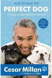 How to Raise the Perfect Dog