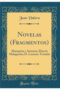 Novelas (Fragmentos): Mariquita y Antonio; Elisa la Malagueña; D. Lorenzo Tostado (Classic Reprint)