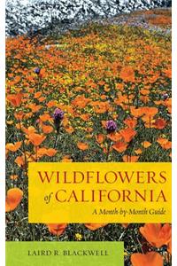 Wildflowers of California