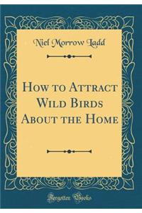 How to Attract Wild Birds about the Home (Classic Reprint)