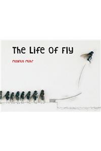 The Life of Fly