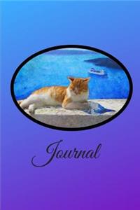 Cat Journal