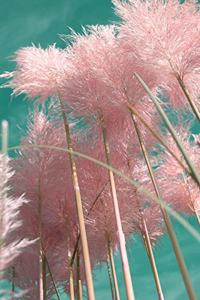 Pretty Pink Pampas Grass Journal