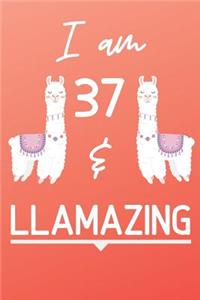 I Am 37 And Llamazing