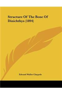 Structure Of The Bone Of Dinichthys (1894)
