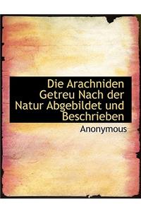 Die Arachniden Getreu Nach Der Natur Abgebildet Und Beschrieben