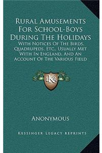 Rural Amusements for School-Boys During the Holidays