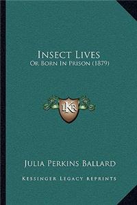 Insect Lives