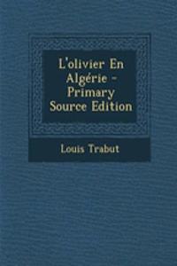 L'Olivier En Algerie