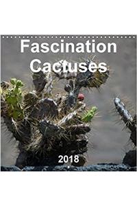 Fascination Cactuses 2018