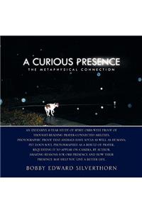 Curious Presence: The Metaphysical Connection