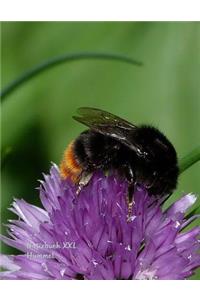 Notizbuch XXL Hummel