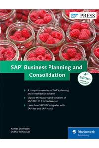 SAP Business Planning and Consolidation