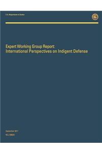 Expert Working Group Report