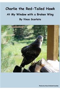 Charlie the Red-Tailed Hawk
