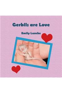 Gerbils are Love